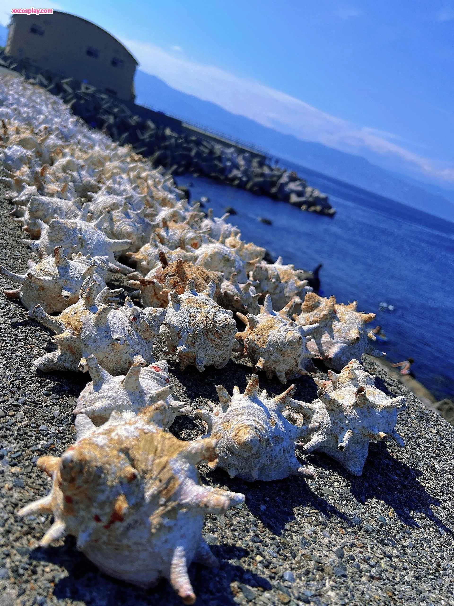 Yanagimaru's Summer Vacation (Part 1)